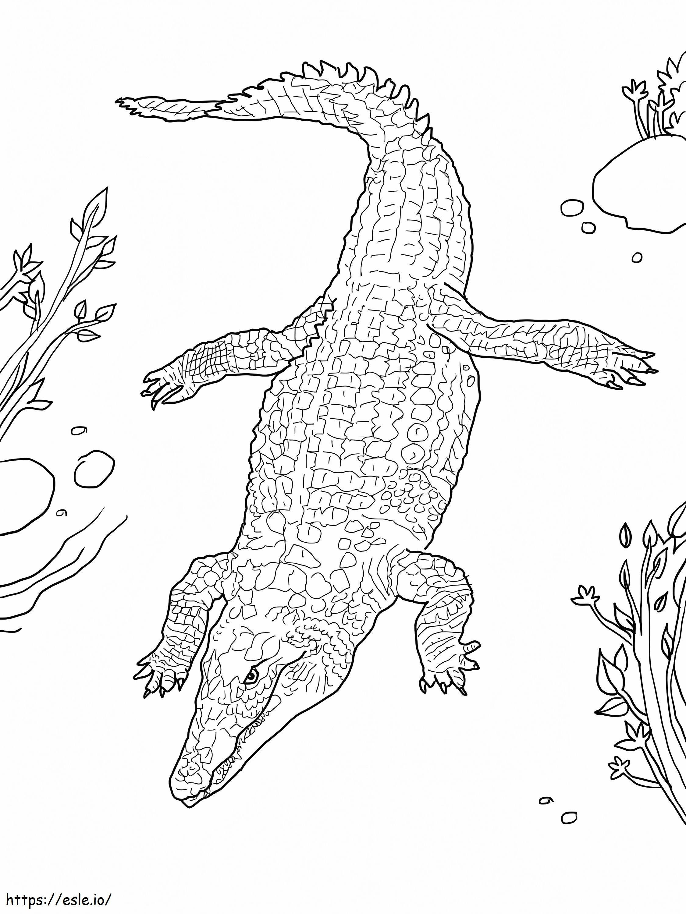 37 Scaly Crocodile Coloring Pages Printable 32