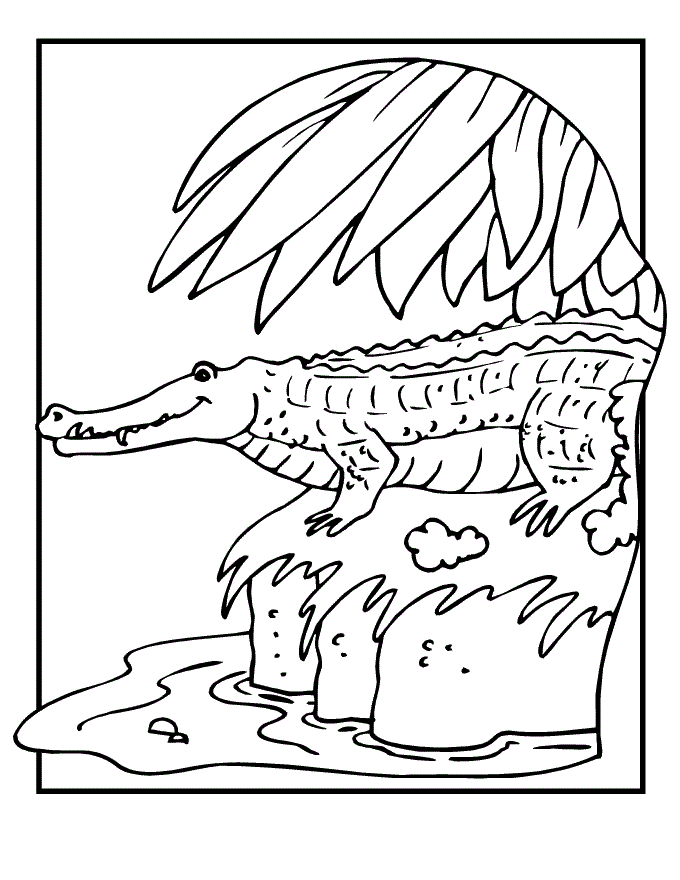 scaly crocodile coloring pages printable jpg