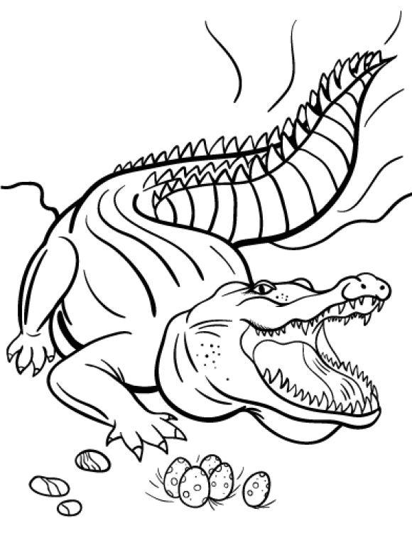 37 Scaly Crocodile Coloring Pages Printable 8