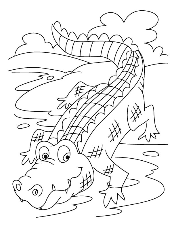 37 Scaly Crocodile Coloring Pages Printable 9