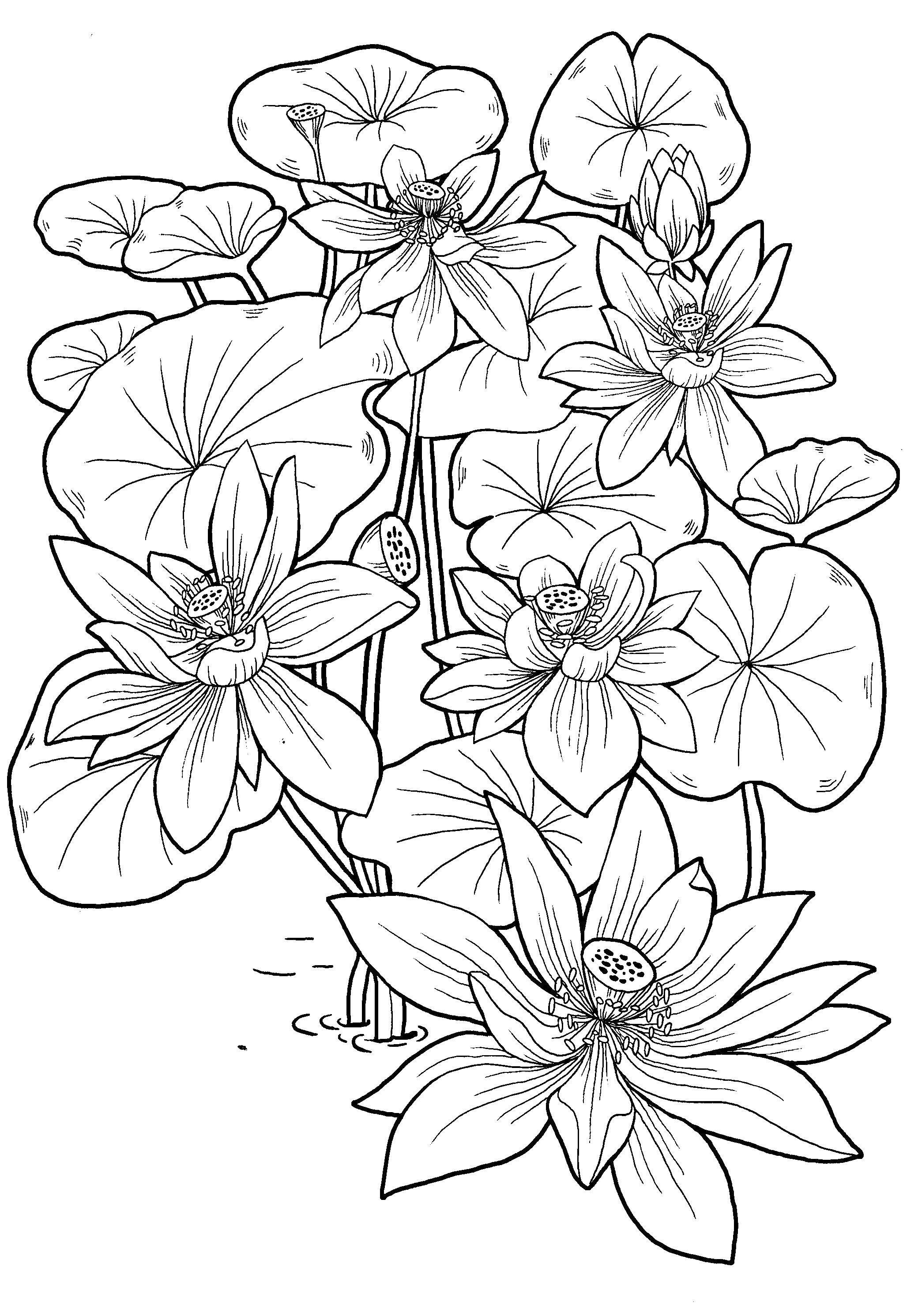 38 Coloring Pages for 11-Year-Olds Printable 17