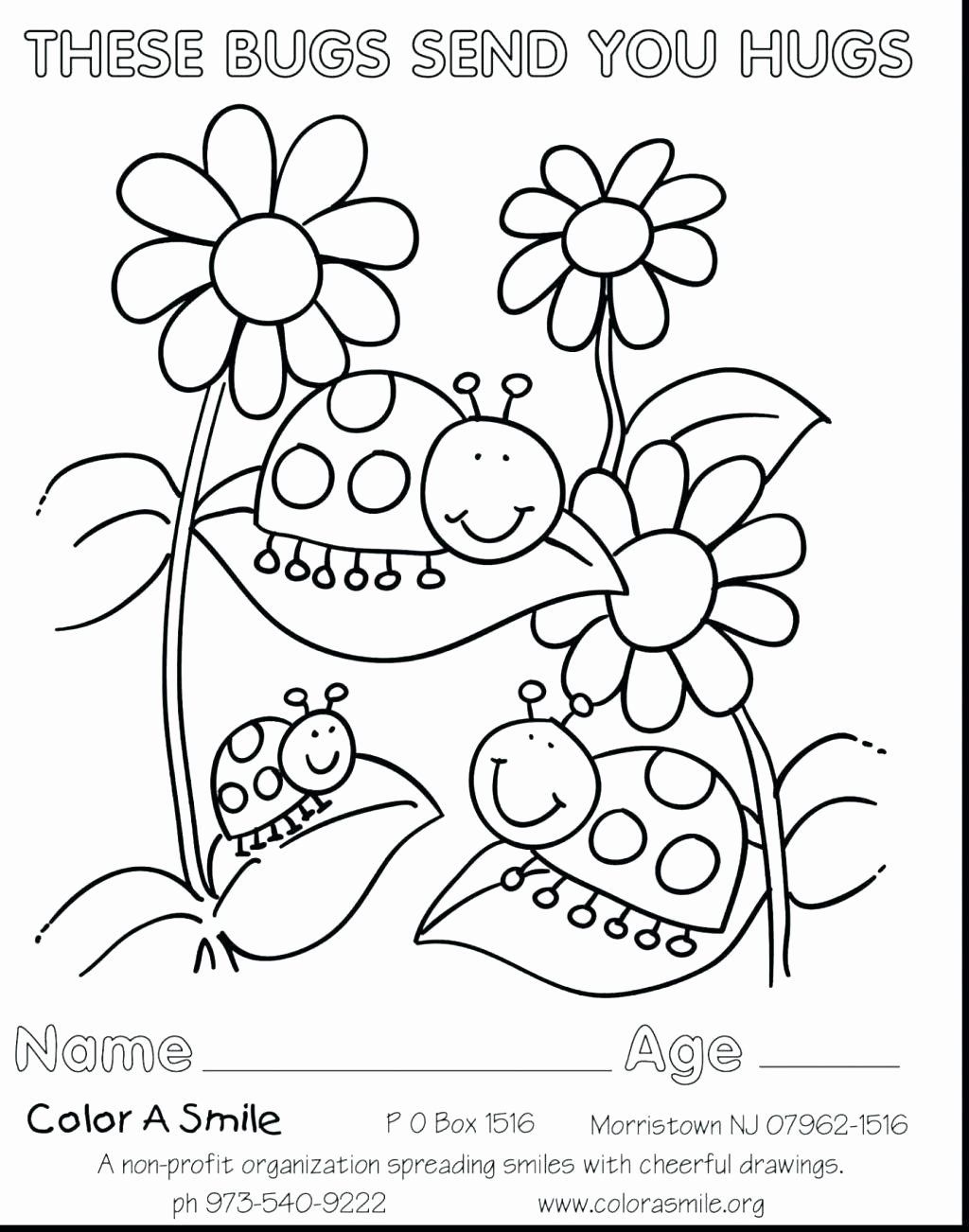 39 Bright Daisy Coloring Pages Printable 19