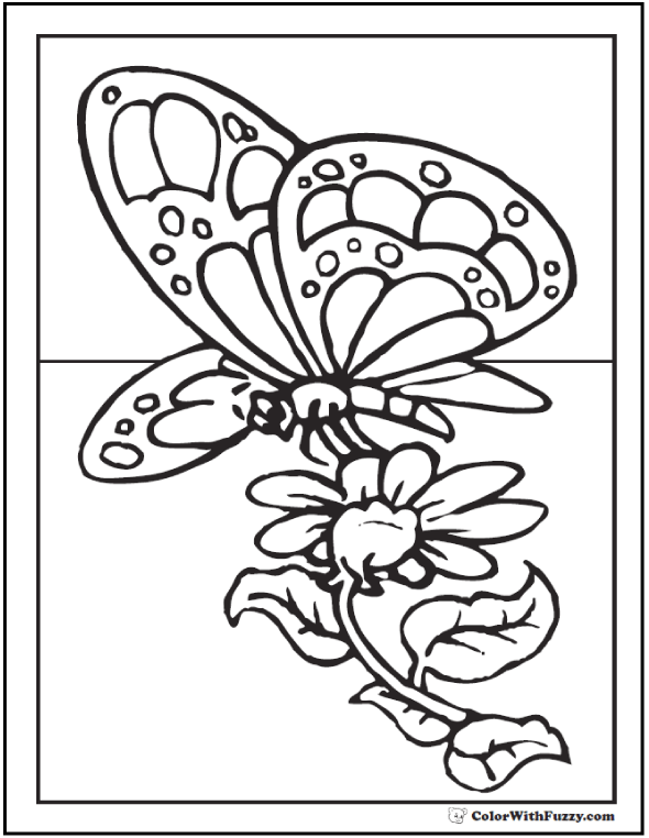 39 Bright Daisy Coloring Pages Printable 20