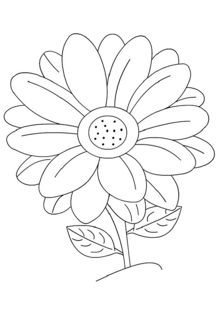 39 Bright Daisy Coloring Pages Printable 26