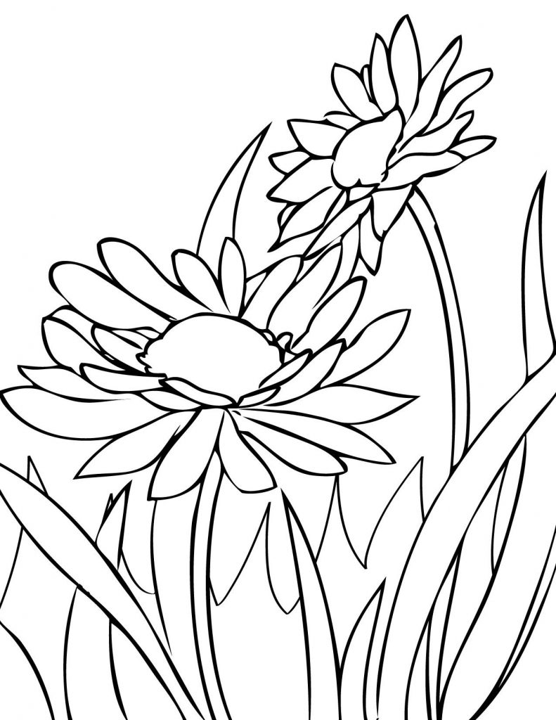 39 Bright Daisy Coloring Pages Printable 27