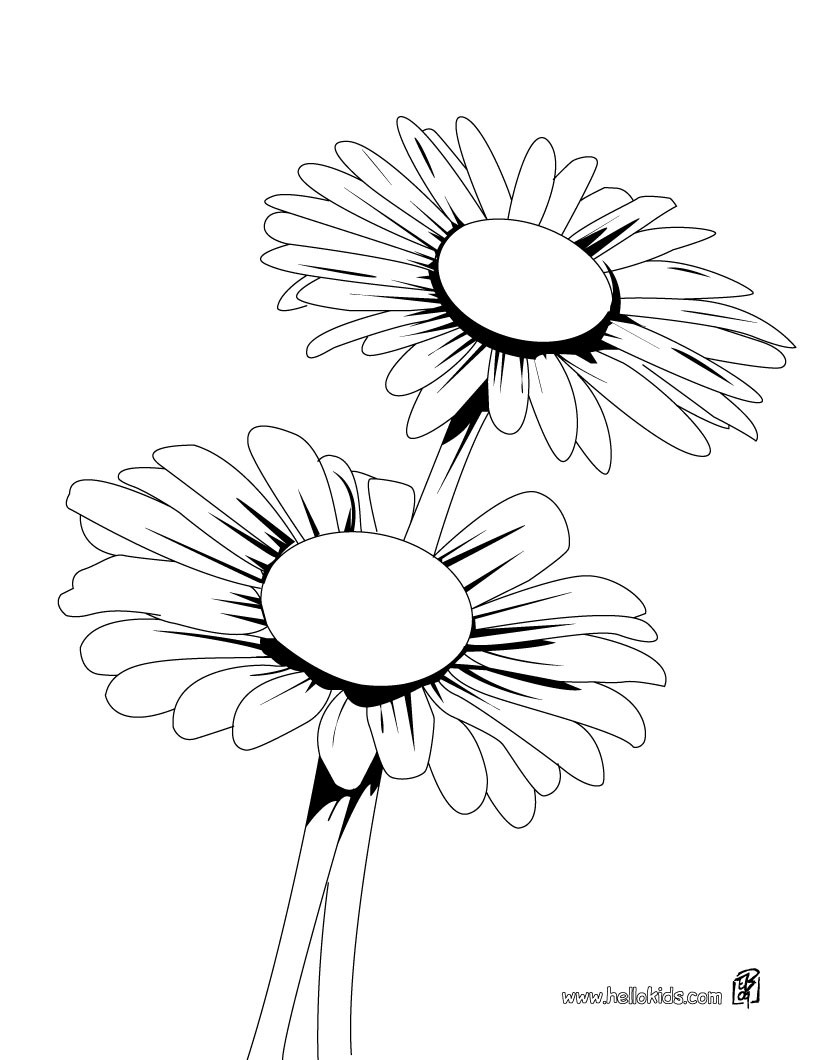 39 Bright Daisy Coloring Pages Printable 32