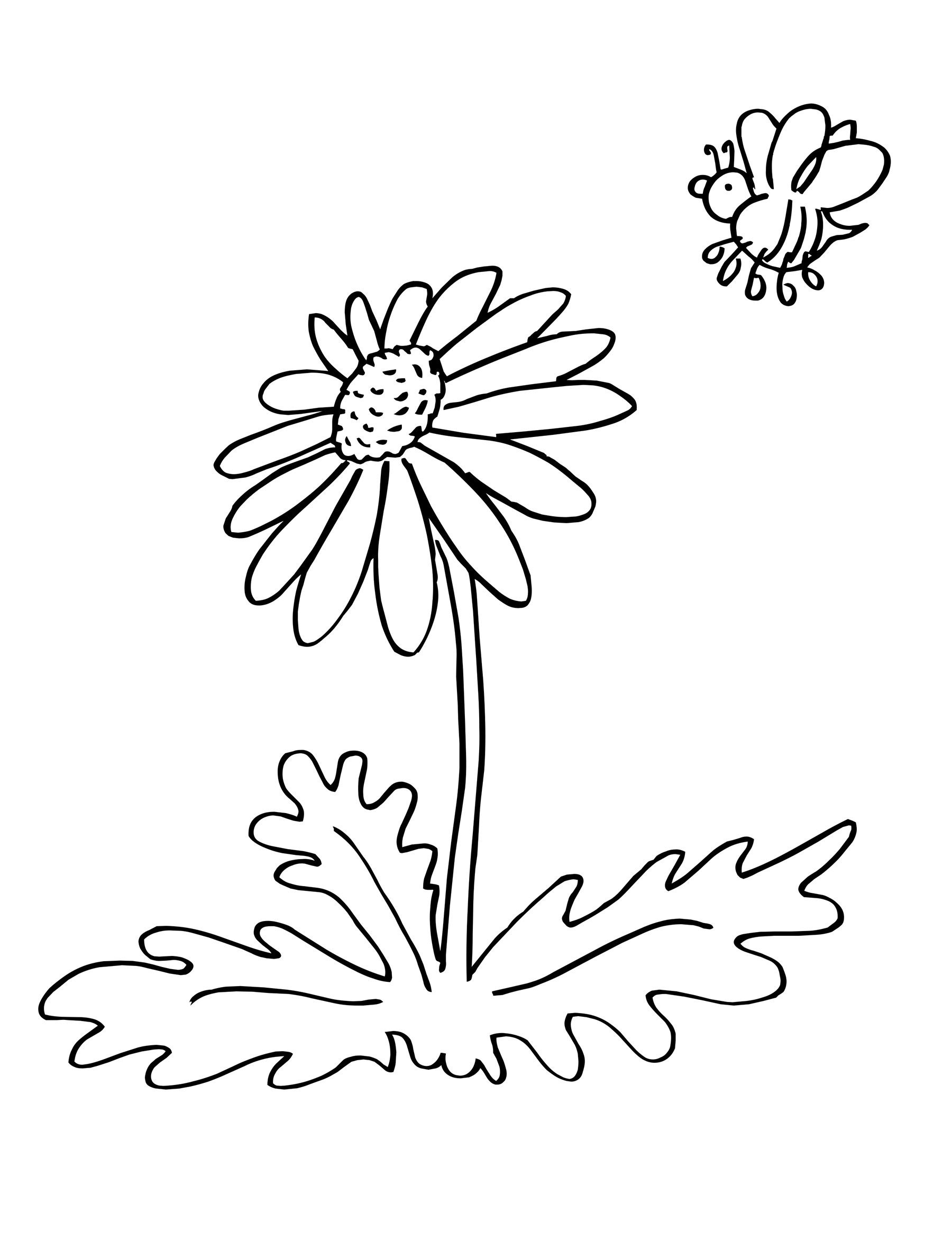 39 Bright Daisy Coloring Pages Printable 33