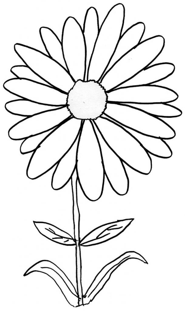 39 Bright Daisy Coloring Pages Printable 8