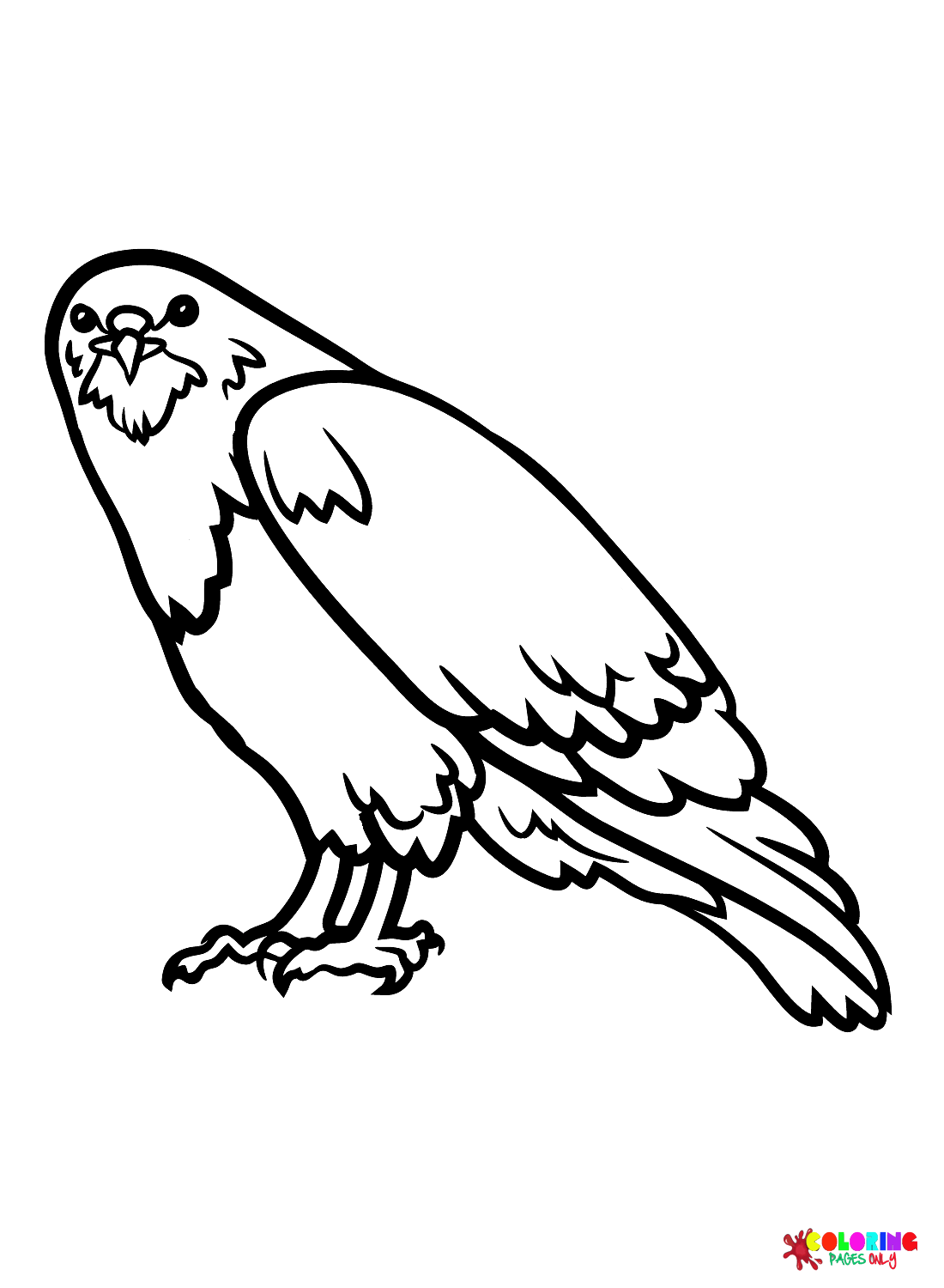 94 Hawks Coloring Pages Printable 10