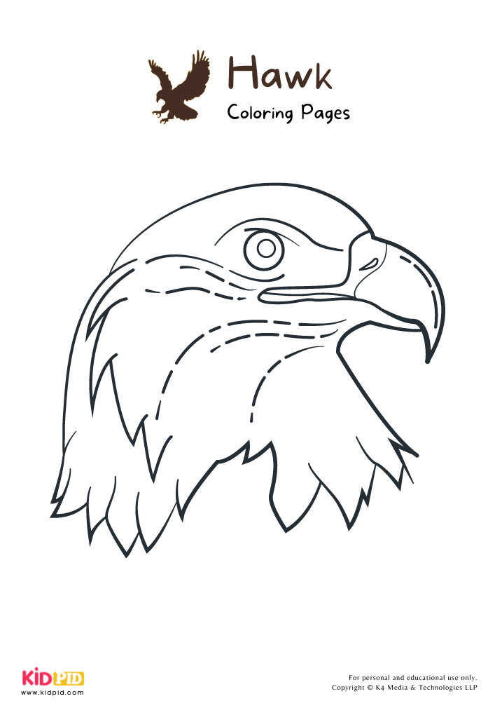 94 Hawks Coloring Pages Printable 11