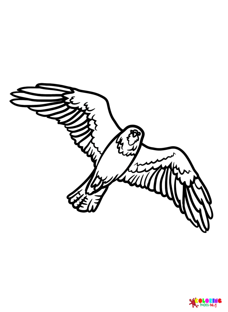 94 Hawks Coloring Pages Printable 14