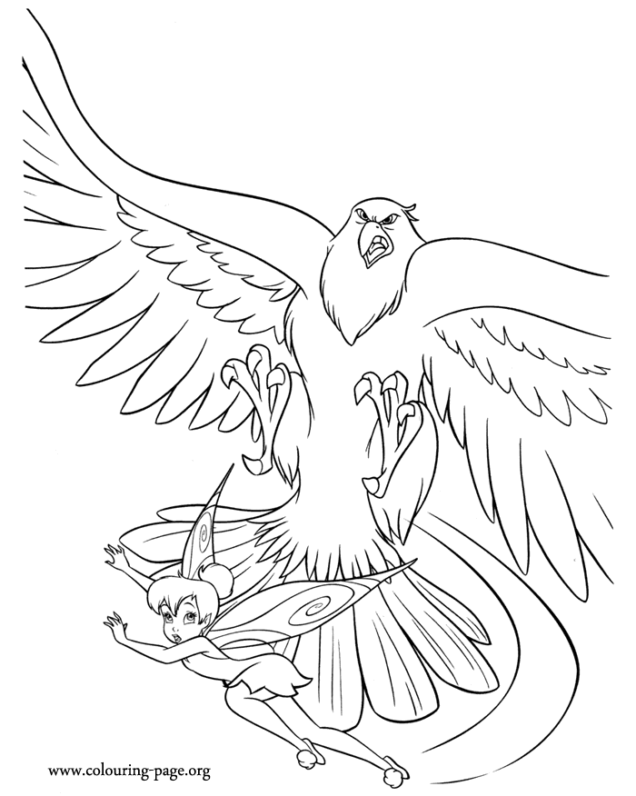 94 Hawks Coloring Pages Printable 25