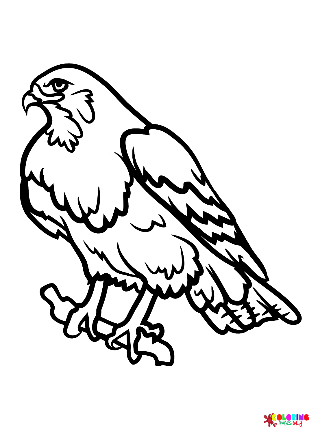 94 Hawks Coloring Pages Printable 28