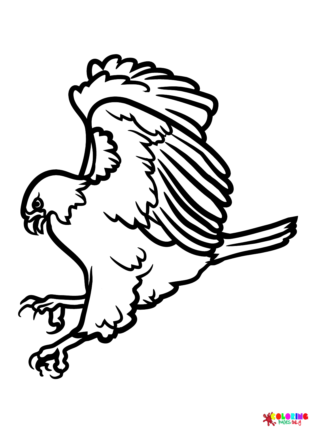 94 Hawks Coloring Pages Printable 3