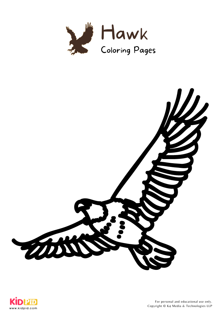 94 Hawks Coloring Pages Printable 47