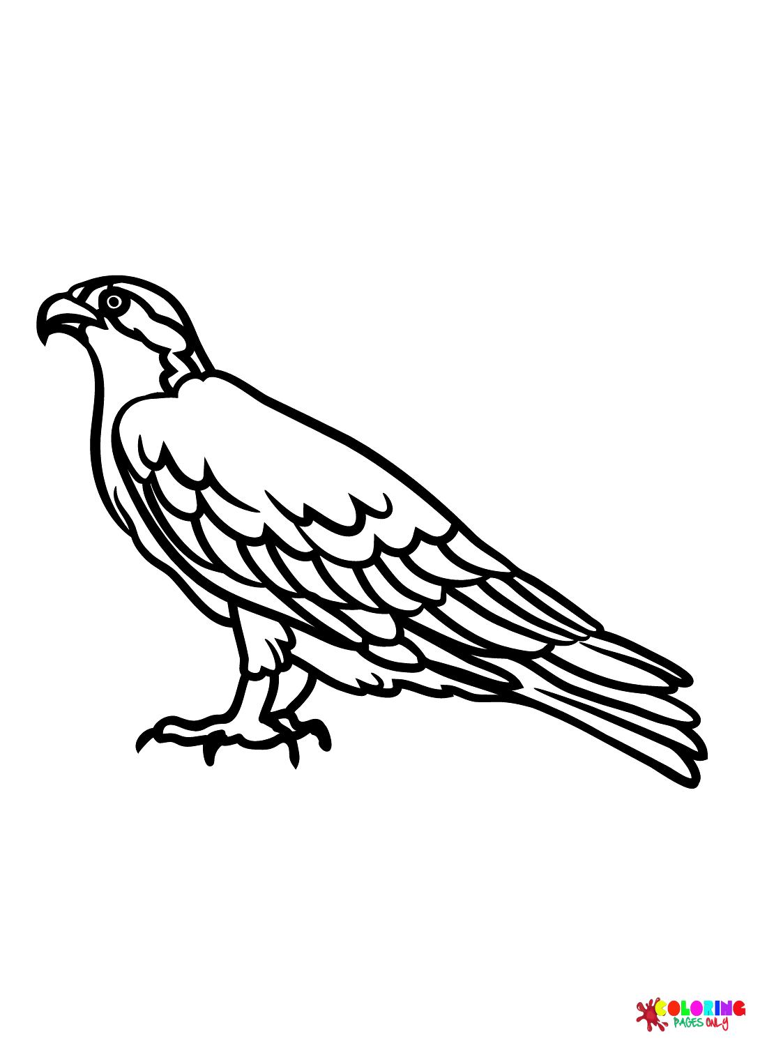 94 Hawks Coloring Pages Printable 52