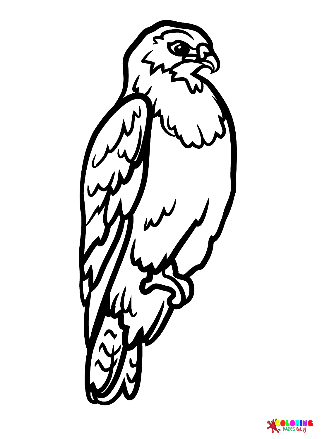 94 Hawks Coloring Pages Printable 53