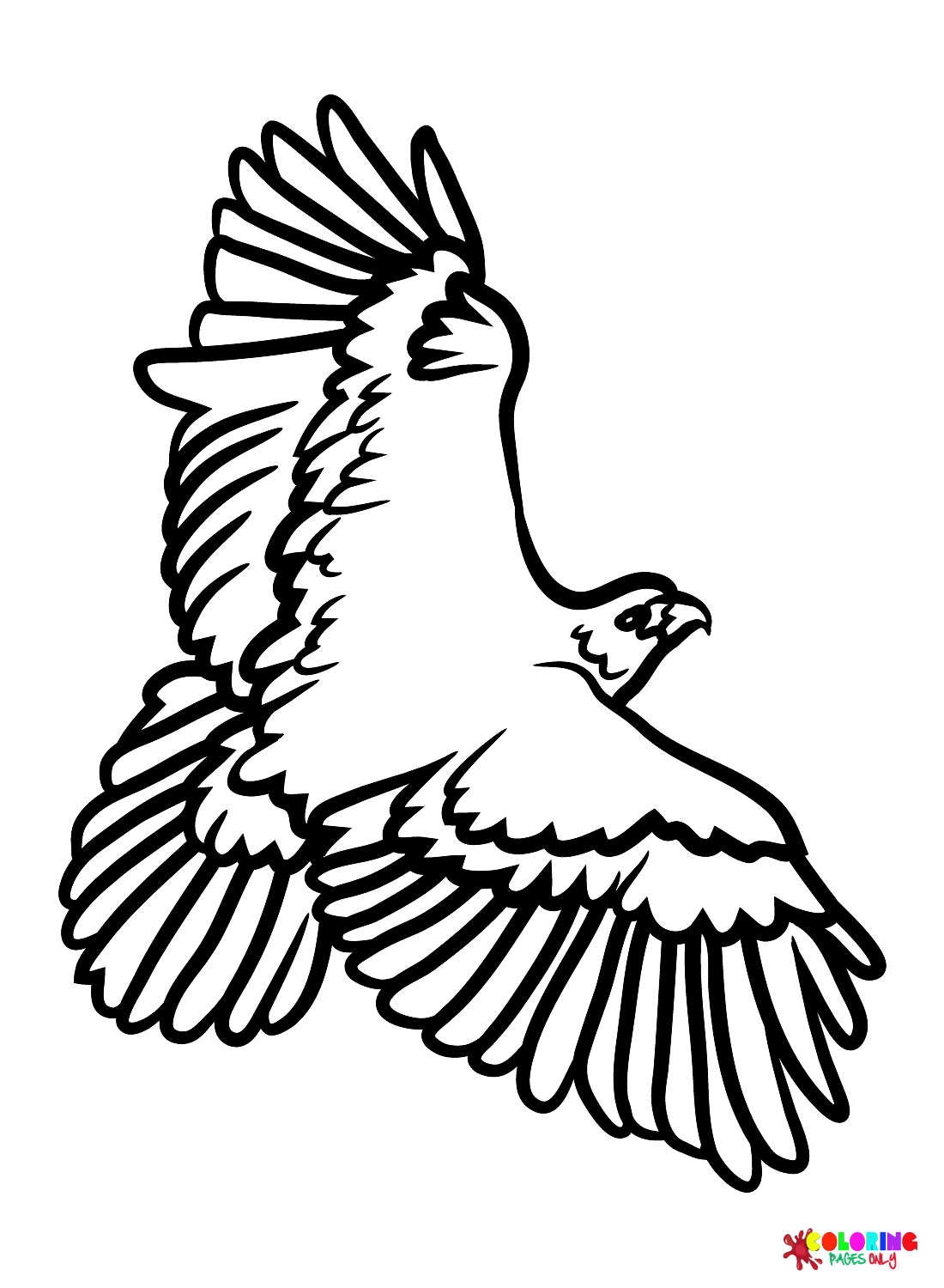 94 Hawks Coloring Pages Printable 55