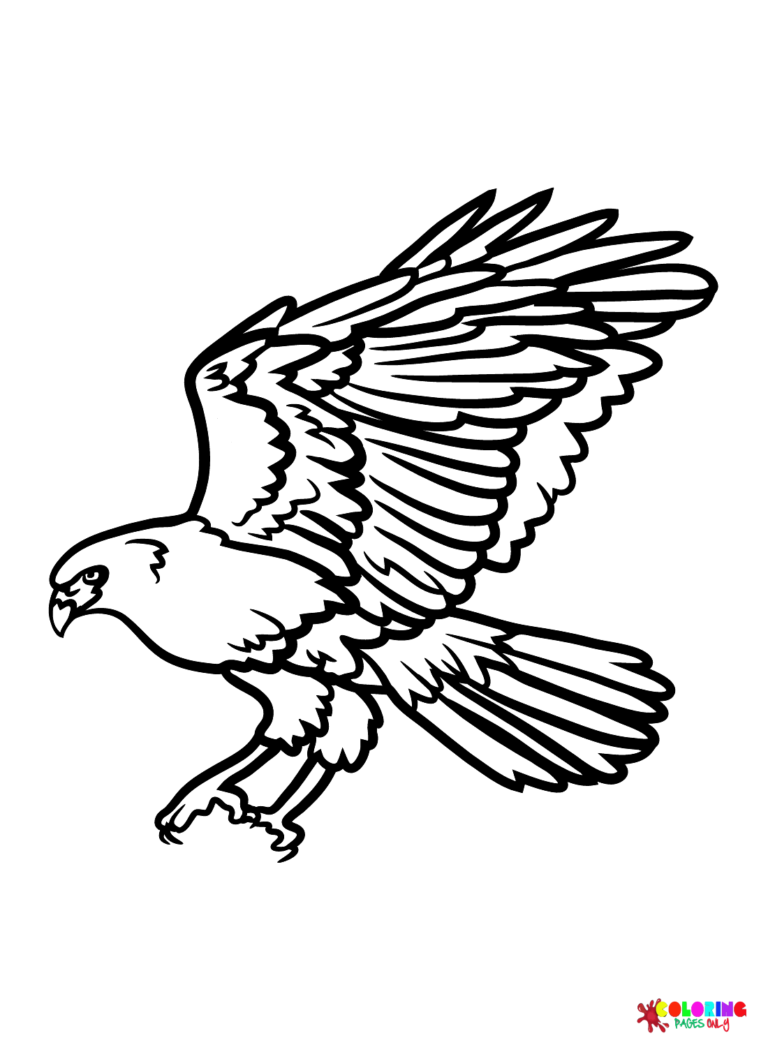 94 Hawks Coloring Pages Printable 61