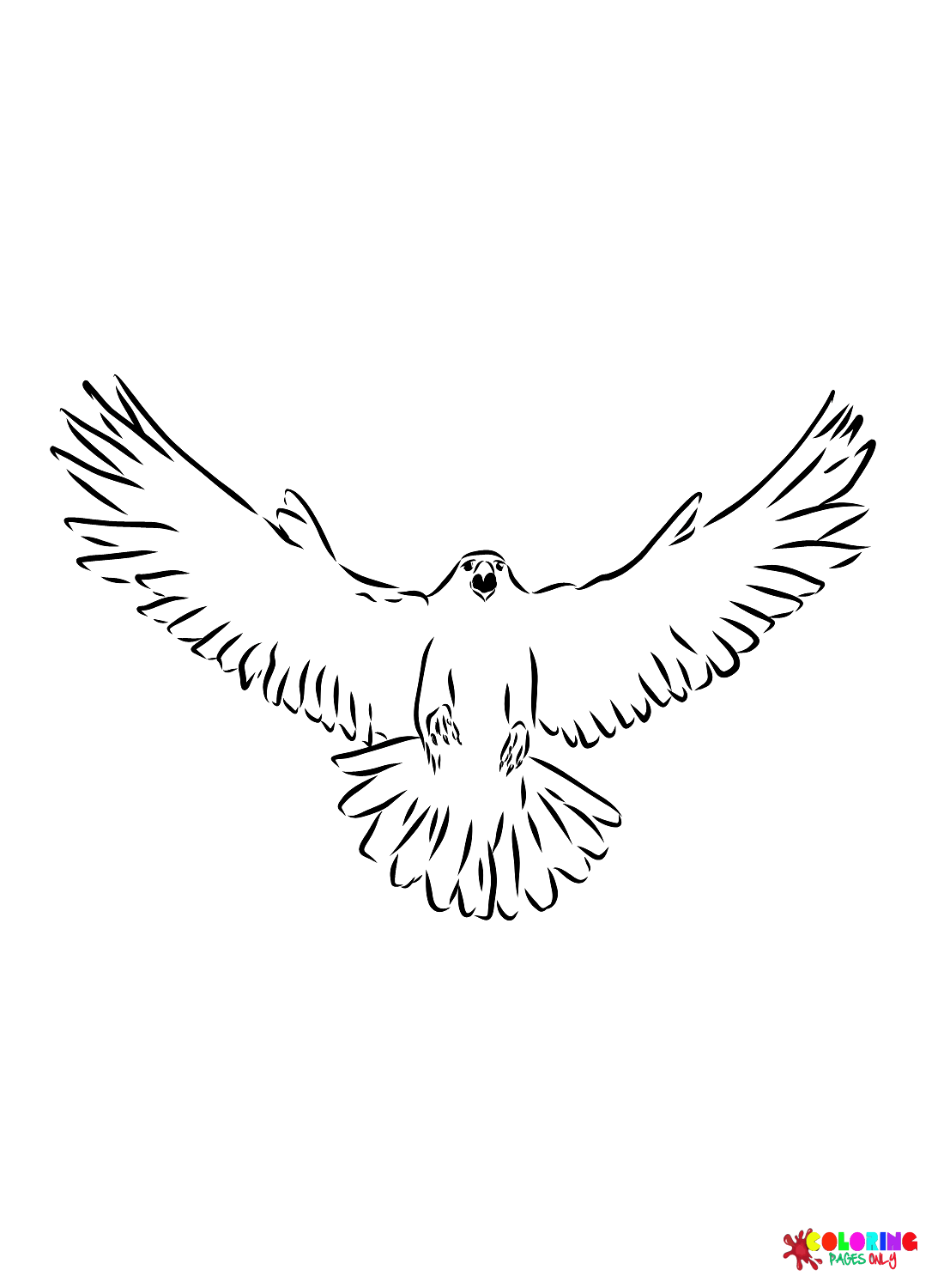 94 Hawks Coloring Pages Printable 7