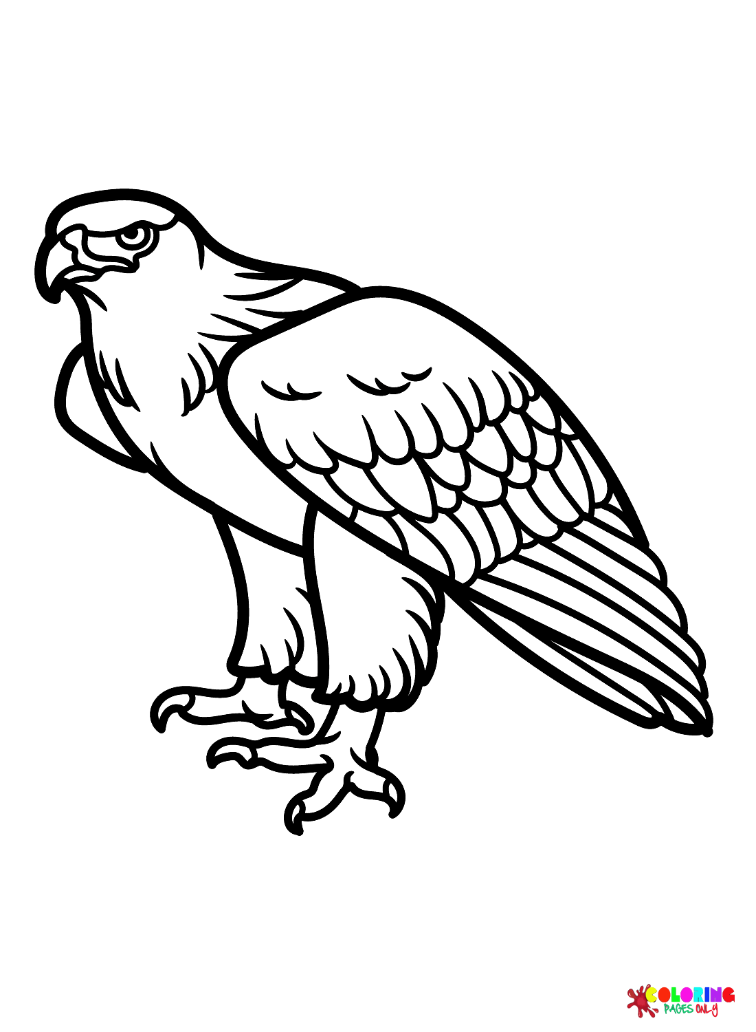 94 Hawks Coloring Pages Printable 77