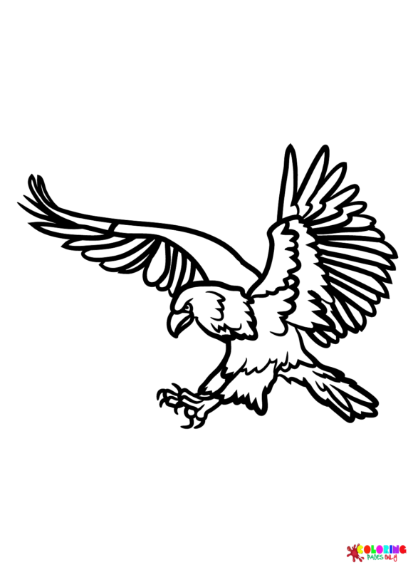 94 Hawks Coloring Pages Printable 83