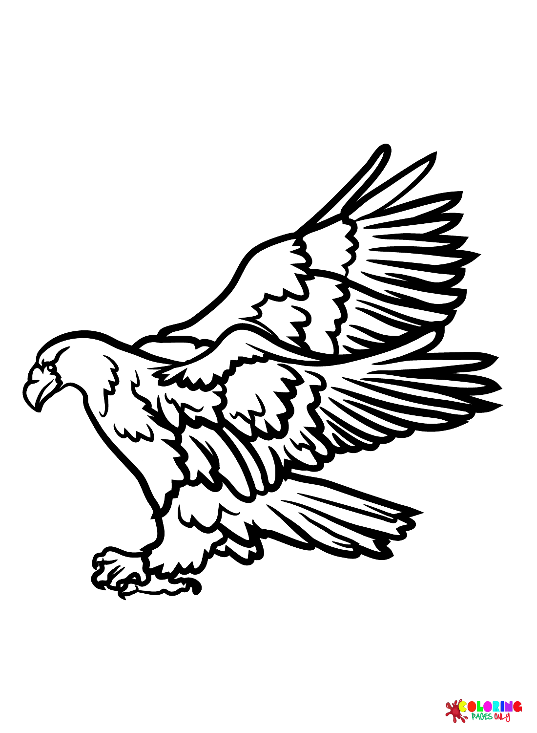 94 Hawks Coloring Pages Printable 9