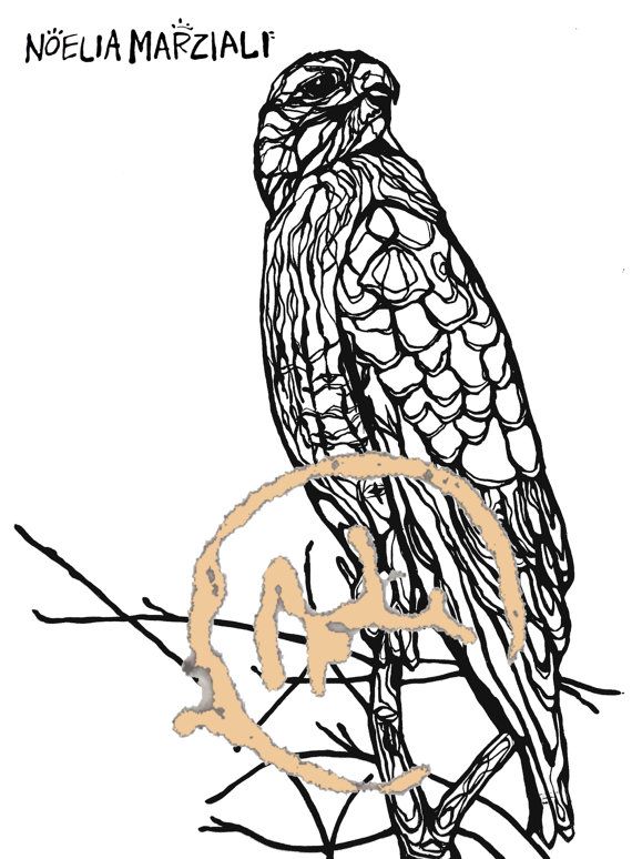 94 Hawks Coloring Pages Printable 97