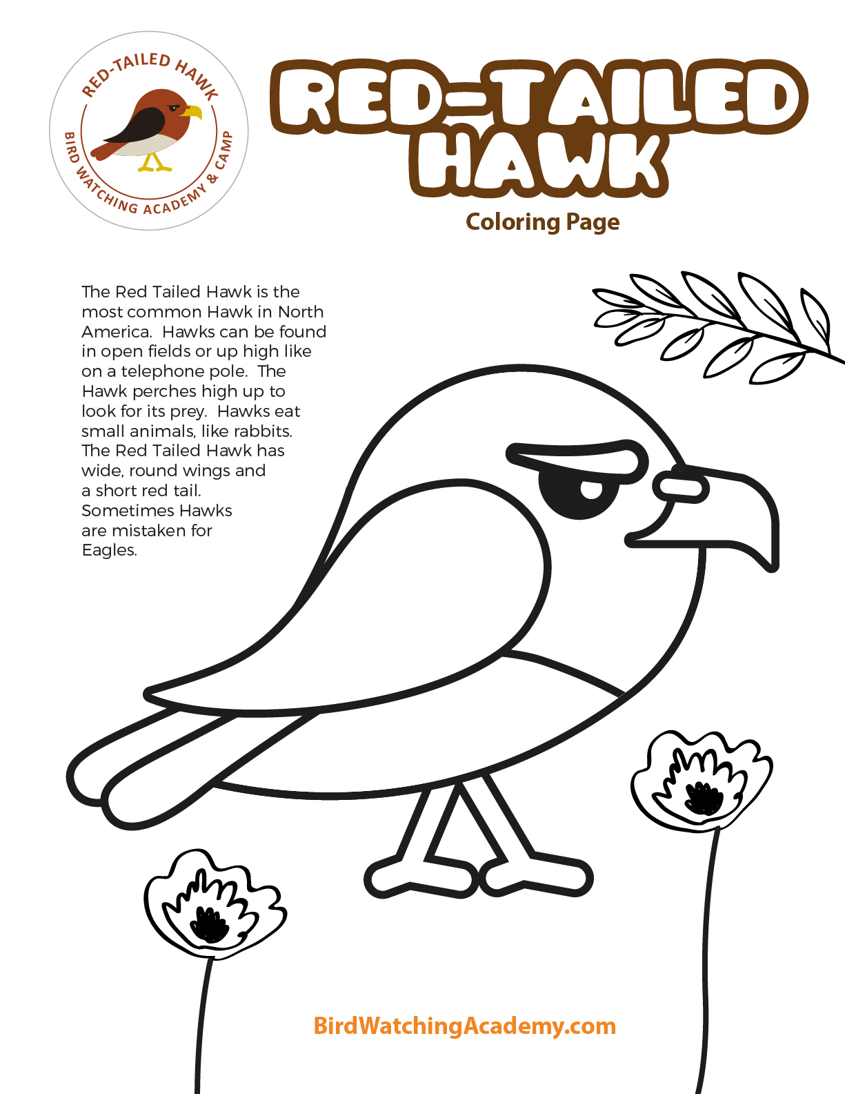 94 Hawks Coloring Pages Printable 98