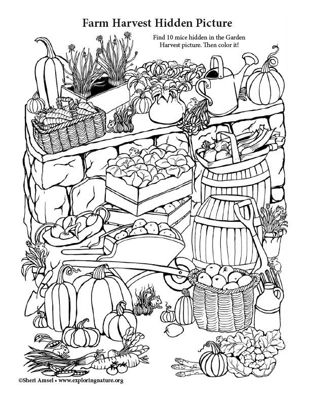 98 Farmers Market Coloring Pages Printable 63