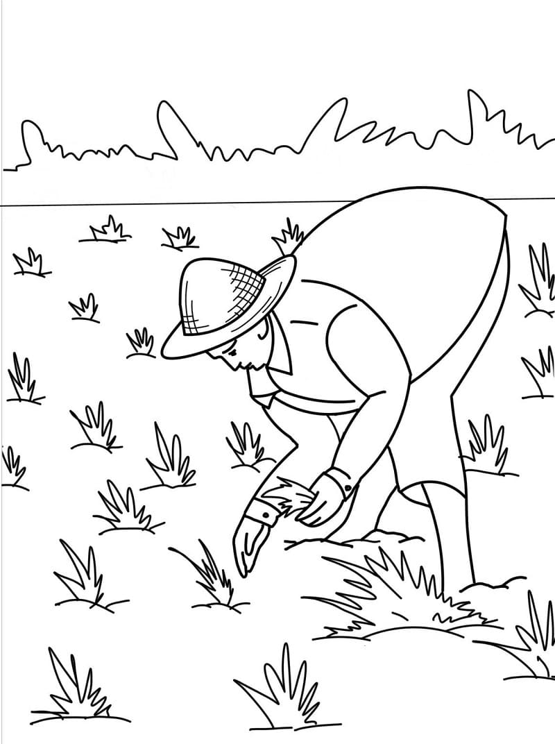 98 Farmers Market Coloring Pages Printable 86