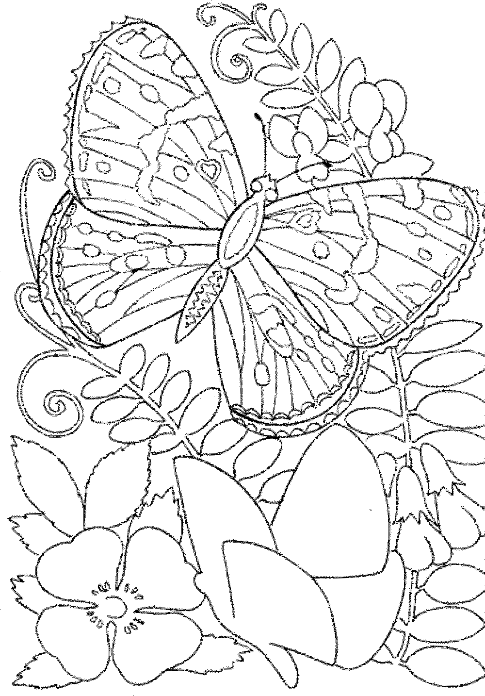 31 Complex Animal Coloring Pages Printable 19