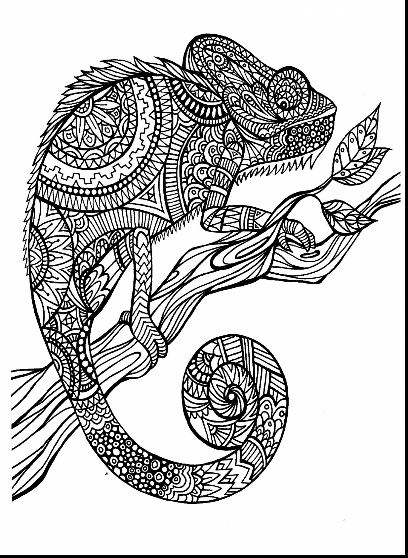 31 Complex Animal Coloring Pages Printable 25