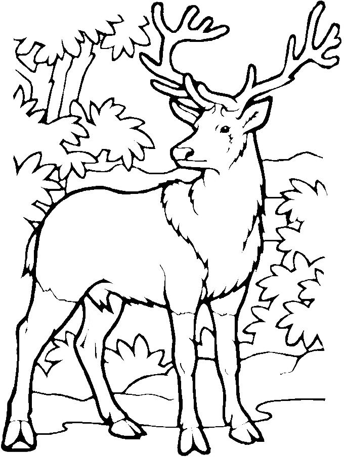 printable john deere coloring pages jpg