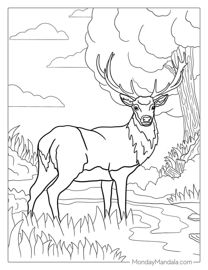 printable john deere coloring pages jpg