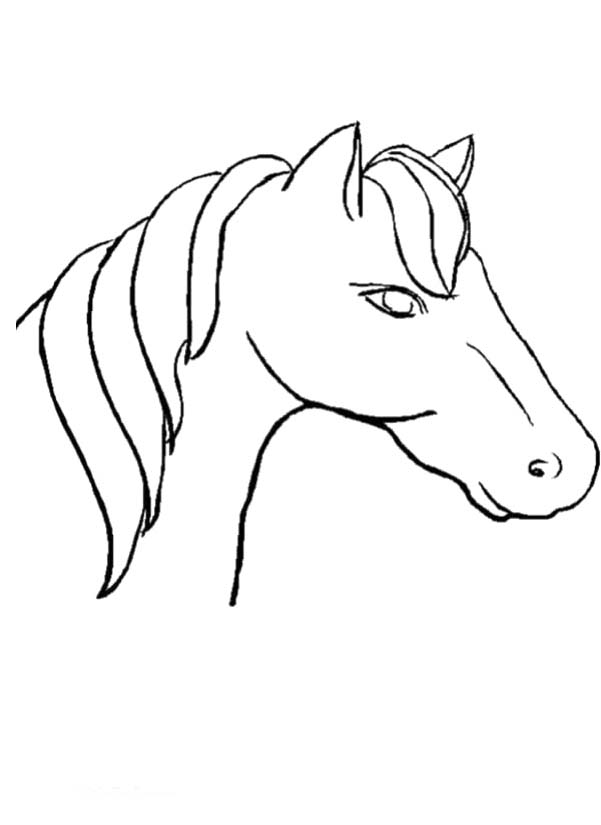 animal head coloring pages printable creative jpg