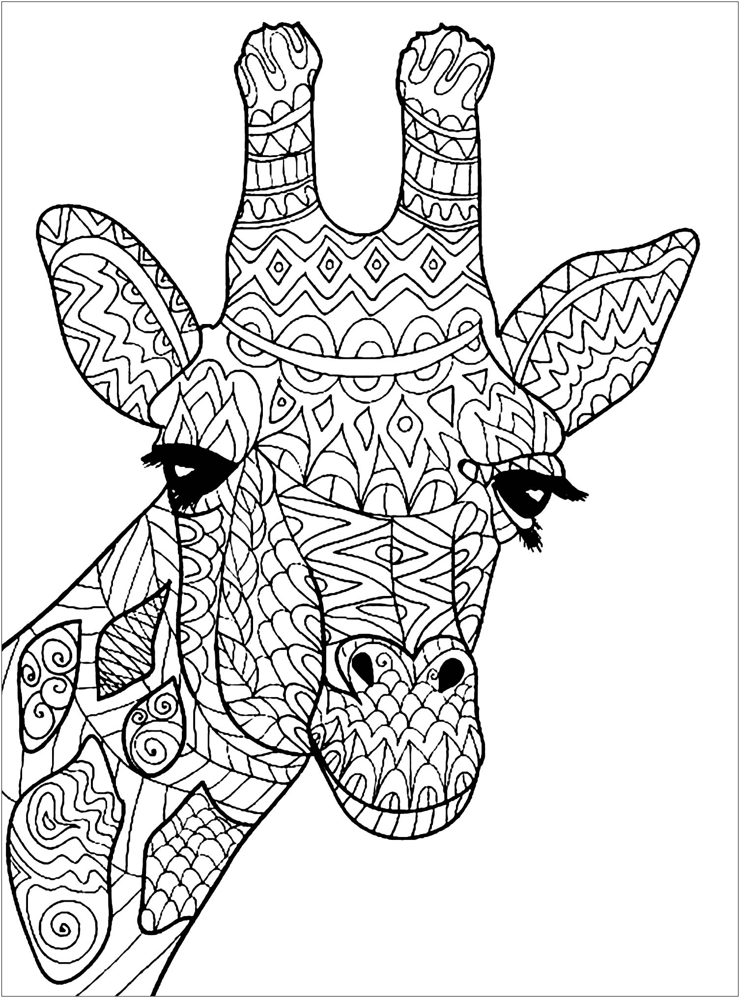 animal head coloring pages printable creative jpg