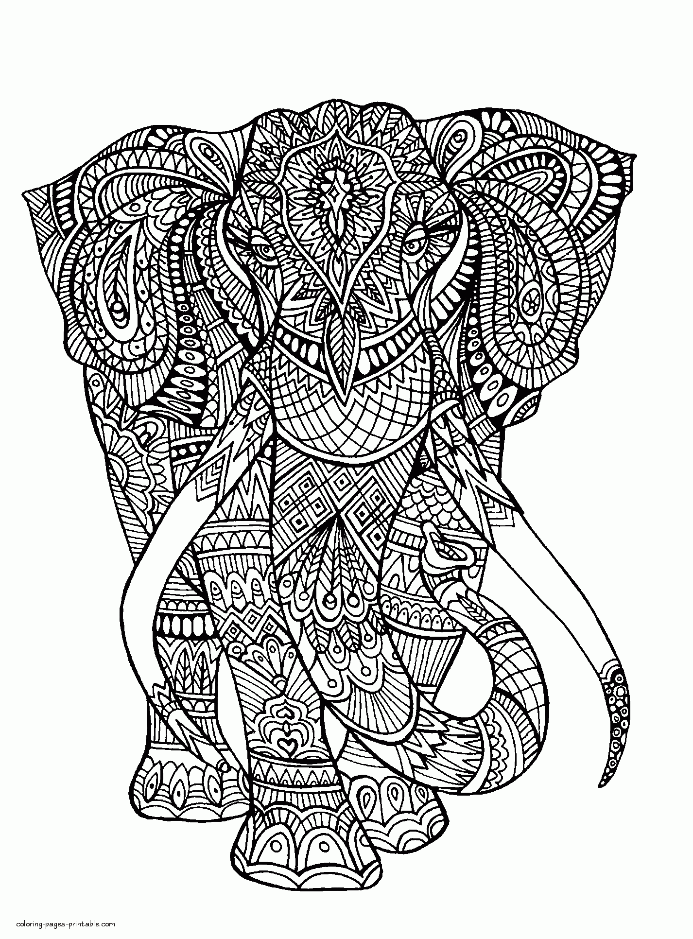 animal head coloring pages printable creative jpg