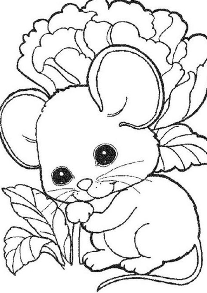 animal head coloring pages printable creative jpg