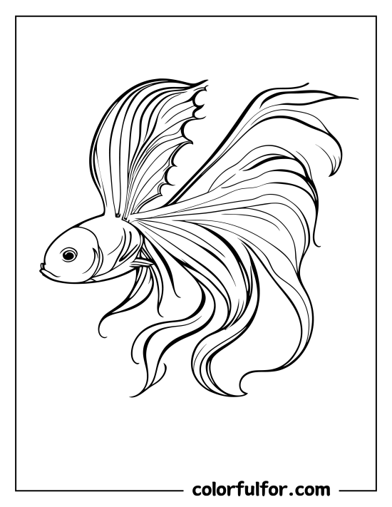 35 Betta Fish Coloring Pages 11