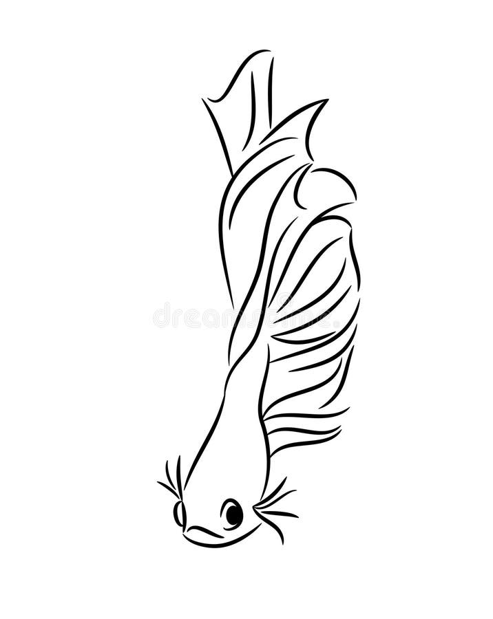 35 Betta Fish Coloring Pages 14