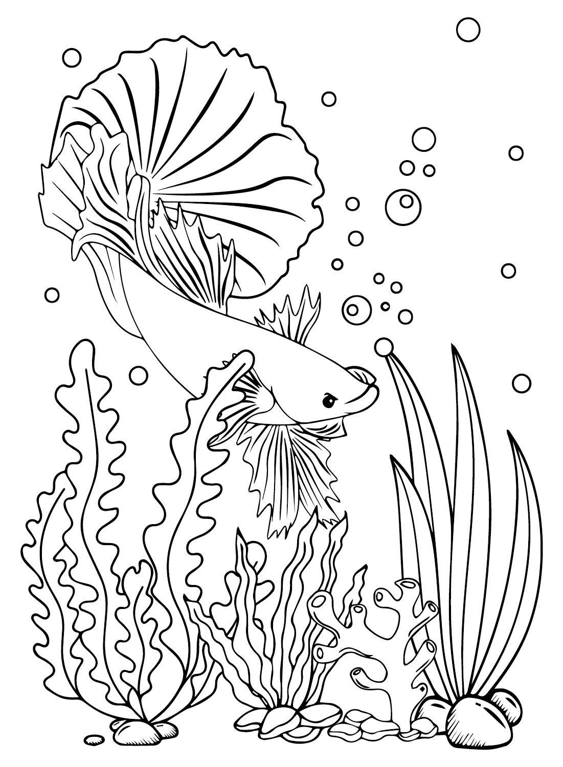 35 Betta Fish Coloring Pages 24