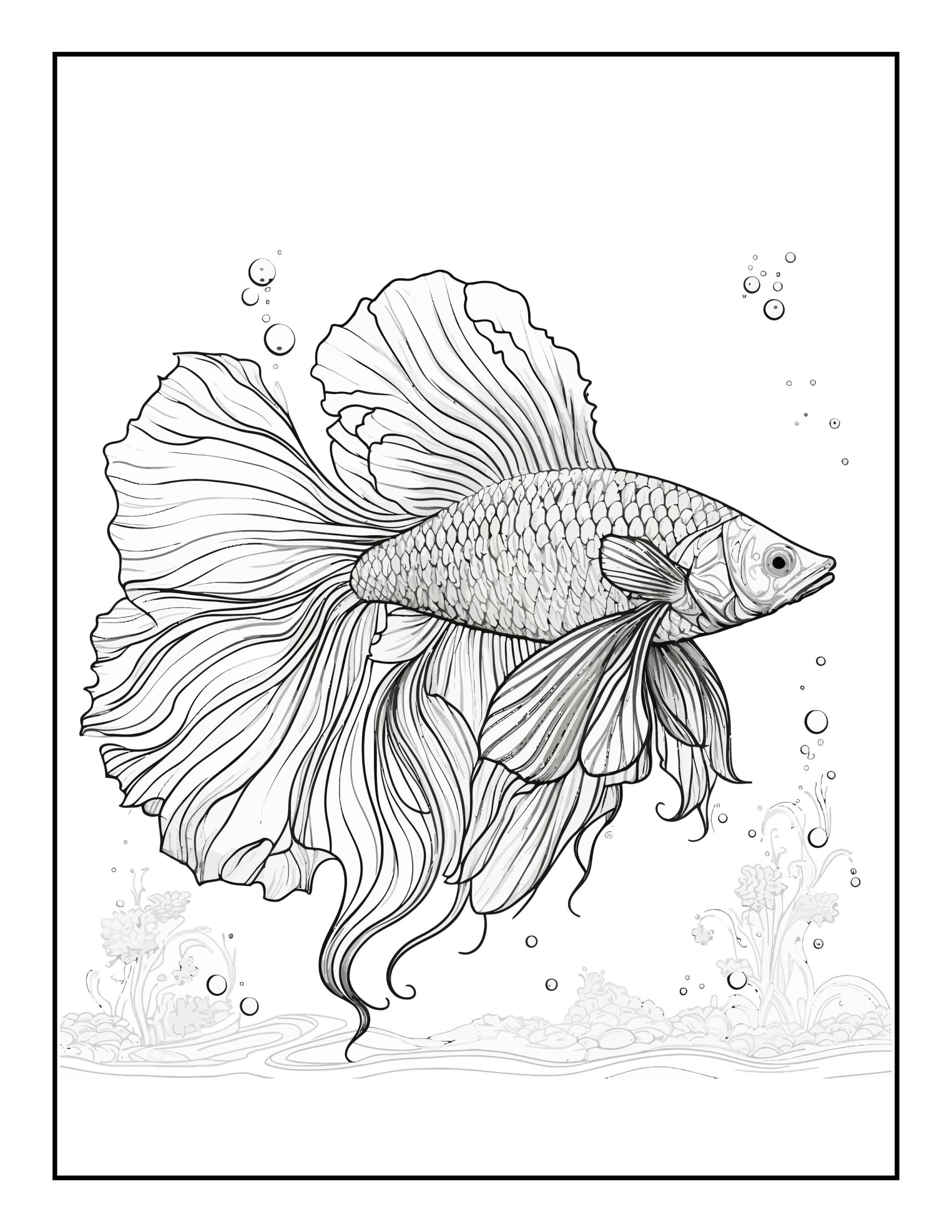 betta fish coloring pages jpg