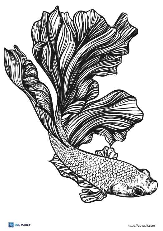 betta fish coloring pages jpg