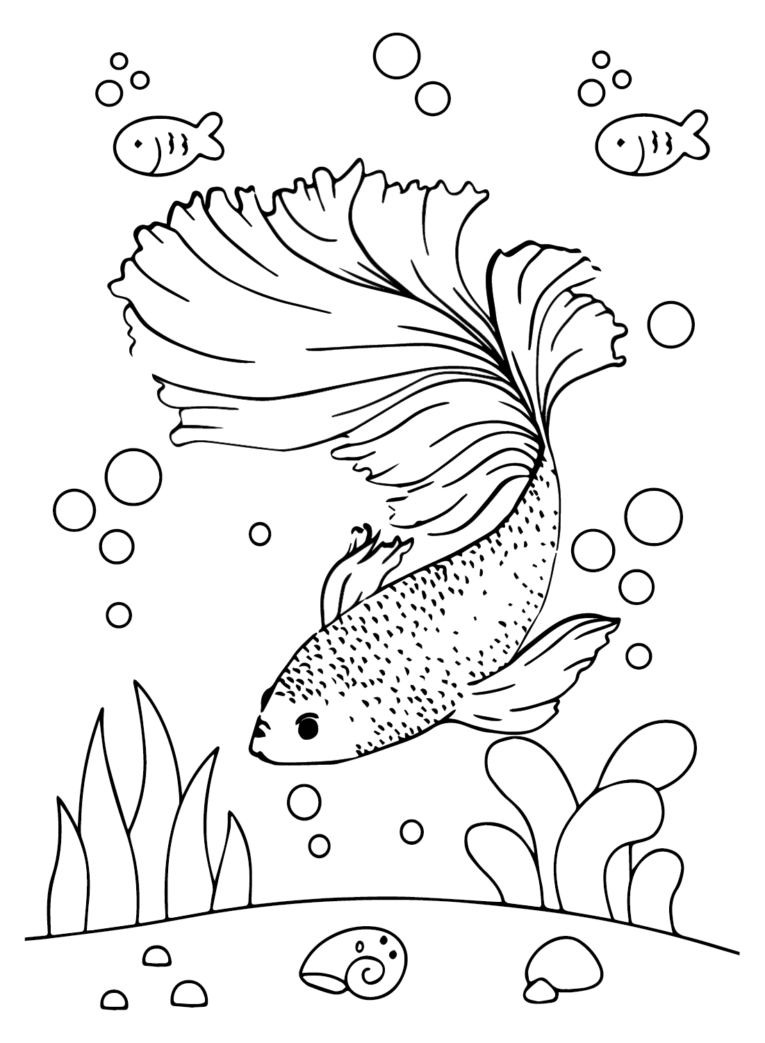 betta fish coloring pages jpg