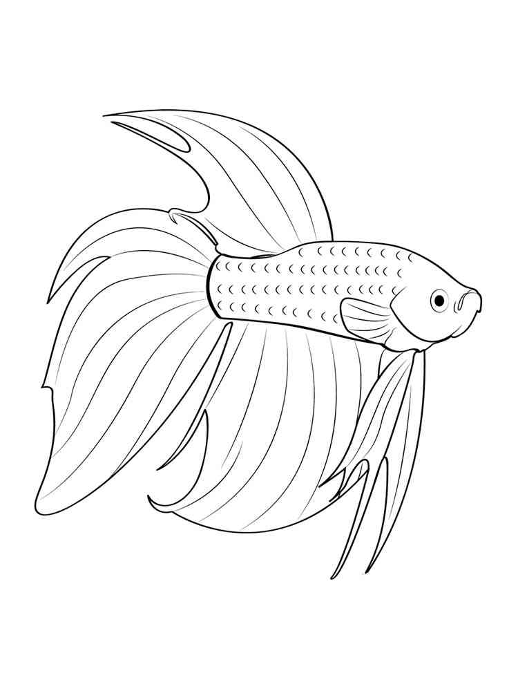 35 Betta Fish Coloring Pages 34