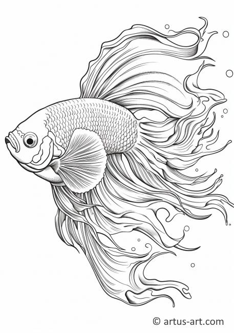 betta fish coloring pages jpg