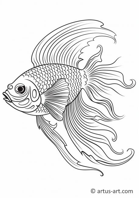 35 Betta Fish Coloring Pages 9