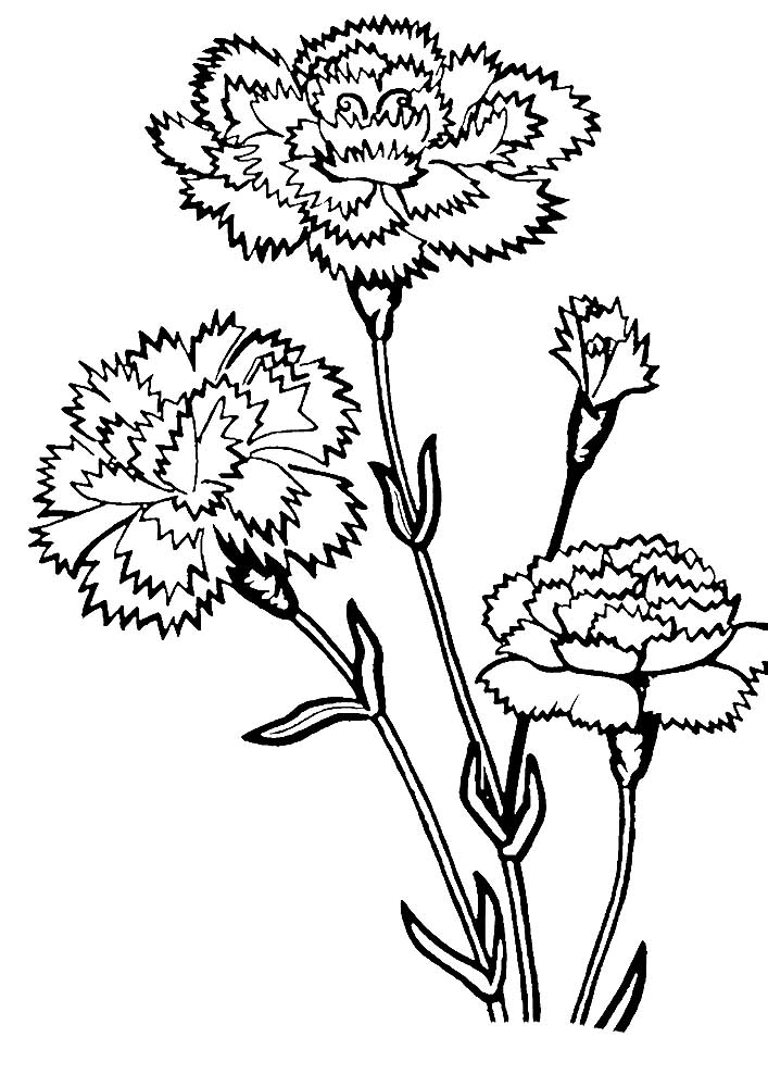 36 Carnation Flower Coloring Pages Beautiful Printable 1