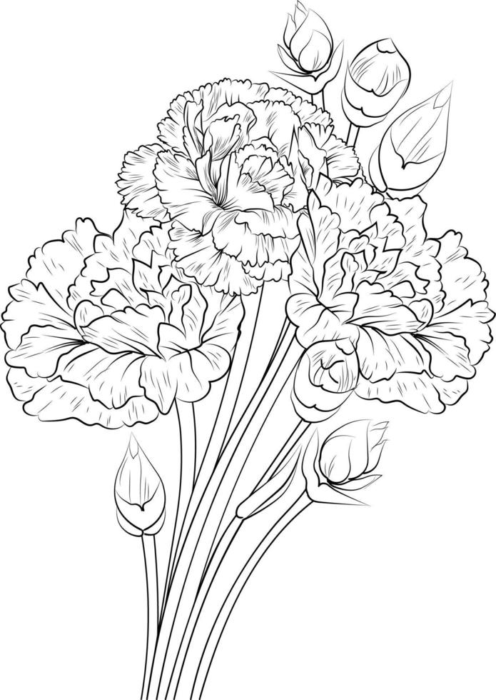 carnation flower coloring pages beautiful printable jpg